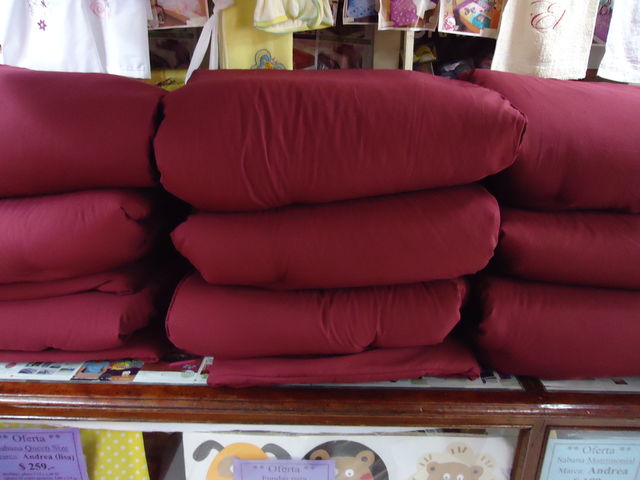 Fabricación de edredones individuales, tela microfibra, doble vista, muy calientitos y suaves, disponible en varios colores.
Precio $ 220
